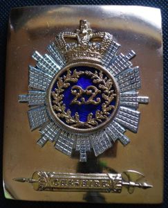 The 22nd (Cheshire) Regiment Georgian Officers Shoulder Belt Plate