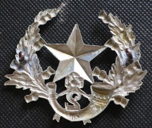 2nd Volunteer Battali9on Cameronians (Scottish Rifles)