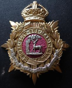 The Royal Berkshire Regiment Officers Blue Cloth Helmet Plate