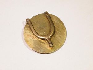 Riding Instructors Qualification Badge.