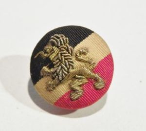 Rare WW1 German Cloth and Gold Bullion Lion Button