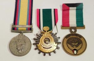 Gulf War Medal & Clasp & Medals to Snell Royal …