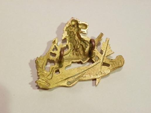 Vintage British South African Police Brass Cap Badge — image 2