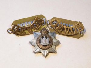 Devonshire Regiment Badge Set.