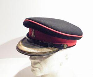 Royal Norfolk Regiment Officers Dress Cap.