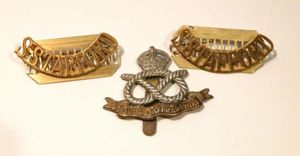 South Staffordshire Badge Set.