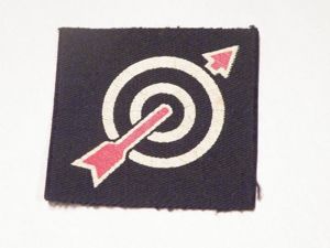 WW2 6th Anti-Aircraft Division Cloth Patch.