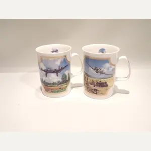Pair Davenport Porcelain Mugs – Heroes of the Skys.