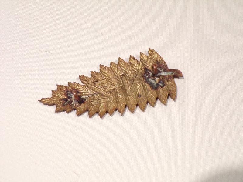 Kings Colonials New Zealand Squadron Cap Badge. — image 2