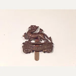 Royal Berkshire Regiment Officers Cap Badge.