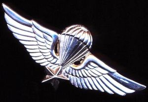 Republic of South Vietnam: Army of the Republic of South …