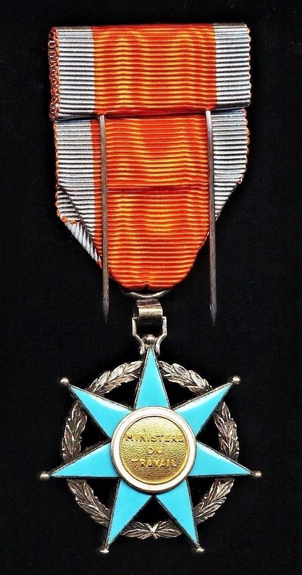 France: Order of Social Merit (Ordre du Mérite Social, Chevalier). Third class 'Knight' silvered & enamel breast badge — image 4