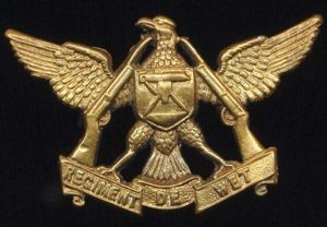 Union of South Africa: Regiment De Wet. Gilding metal collar …