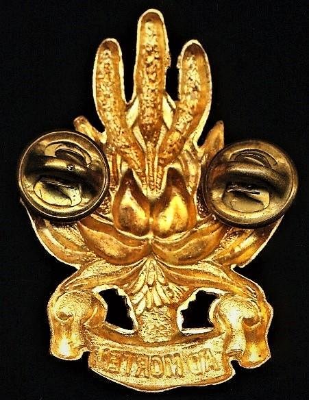 Republic of South Africa: Regiment Noordoos Kaap (North East cape). Gilding metal cap badge — image 2