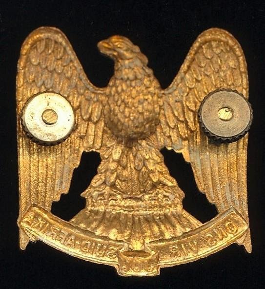 Republic of South Africa: Regiment Louw Wepener. Gilding metal cap badge — image 2