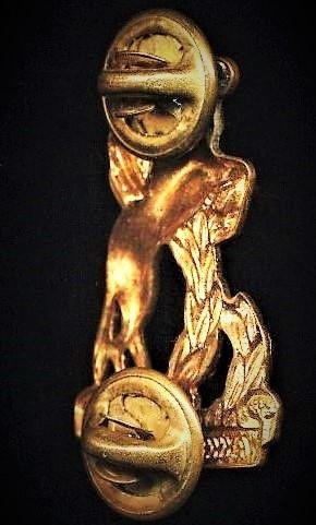 Republic of South Africa: Regiment Bloemspruit. Gilding metal beret & or collar badge — image 2