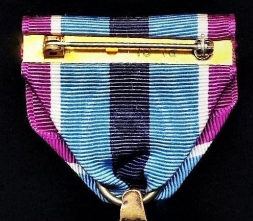 United States: Humanitarian Service Medal (HSM) — image 5