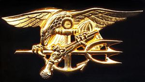United States Navy: Special Warfare Insignia. Gold (gilt) breast badge. …