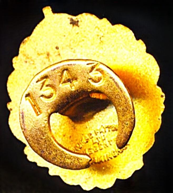 Colonial South Africa Interest: '1820 Settlers' Commemorative Gilt & Enamelled Lapel Badge of the 1820 Settlers Association (South Africa) — image 2