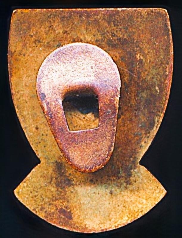 Scottish Returned Far East Prisoner of War Association: Gilded Bronze & Enamelled Lapel Badge — image 4