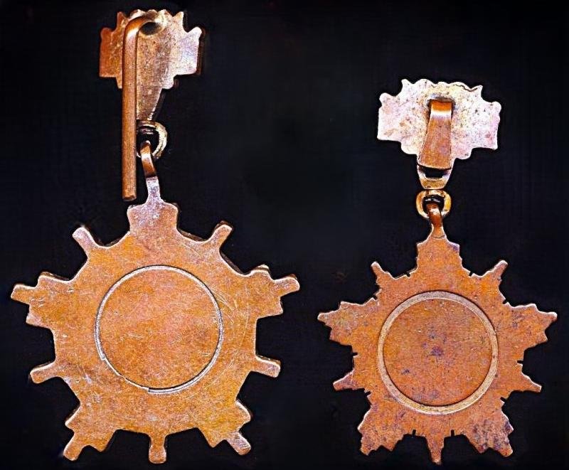 Pakistan (Republic): Medal of Military Service (Tamgha-i-Khidmat (Military)). Third Class (T.K.III). 2nd type insignia (Circa 1980-2025) — image 4