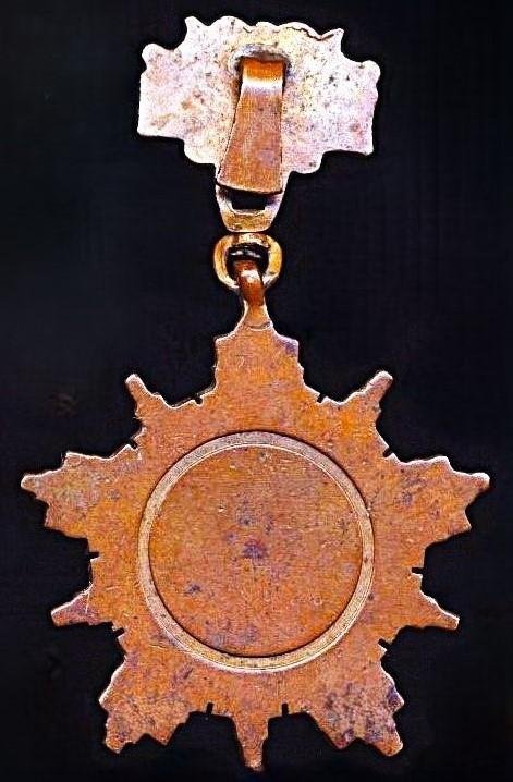 Pakistan (Republic): Medal of Military Service (Tamgha-i-Khidmat (Military)). Third Class (T.K.III). 2nd type insignia (Circa 1980-2025) — image 5