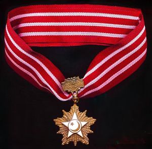 Pakistan (Republic): Medal of Military Service (Tamgha-i-Khidmat (Military)). Third Class …