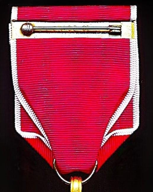 United States of America: Legion of Merit. 4th grade 'Legionnaire' breast badge in gilt & enamel. With bronze 'V' emblem for 'Valor' on riband. Awarded circa 1990-2025 — image 5