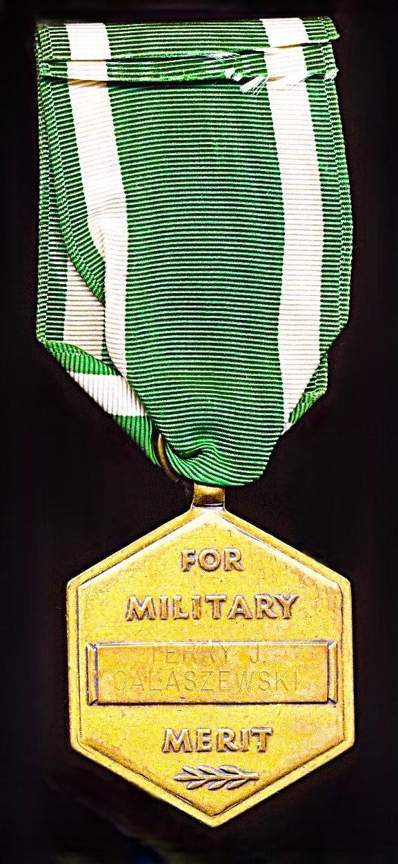United States: Navy Commendation Medal. Engraved naming on reverse (Terry J. Galaszewski) — image 3