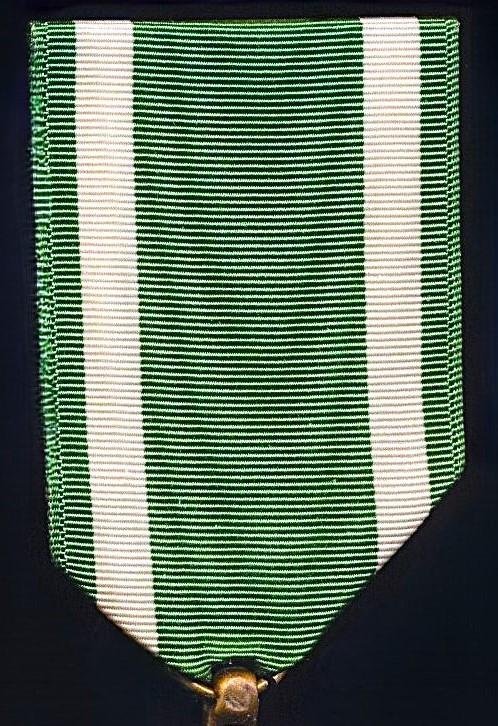 United States: Navy Commendation Medal. Engraved naming on reverse (Terry J. Galaszewski) — image 5