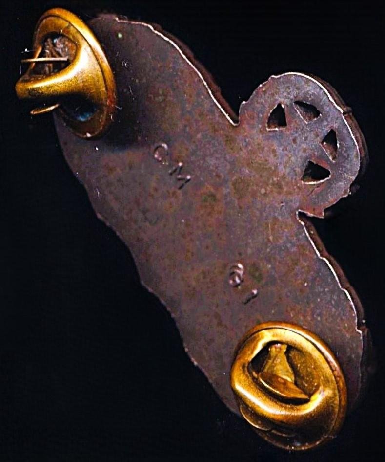 United States Air Force: Space and Missile Master. Tunic Badge. Regulation Full-size — image 2