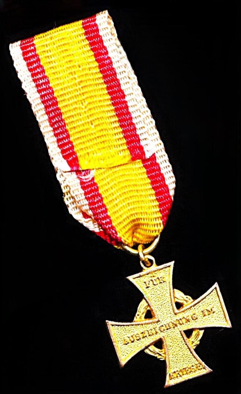 Germany (States): Lippe Detmold. War Service Cross for Combatants 1914-18. Miniature medal — image 3