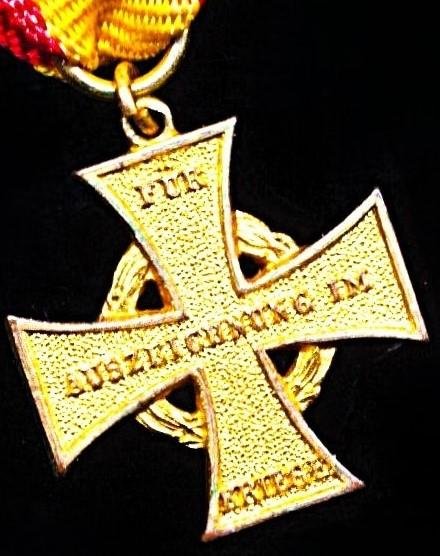 Germany (States): Lippe Detmold. War Service Cross for Combatants 1914-18. Miniature medal — image 4