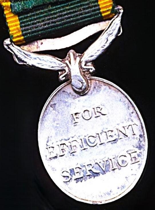 Malaya including Straits Settlements & Federated Malay States: Efficiency Medal. GVI obverse 1st type (1937-1947). With 'Malaya' bar Miniature Medal — image 4
