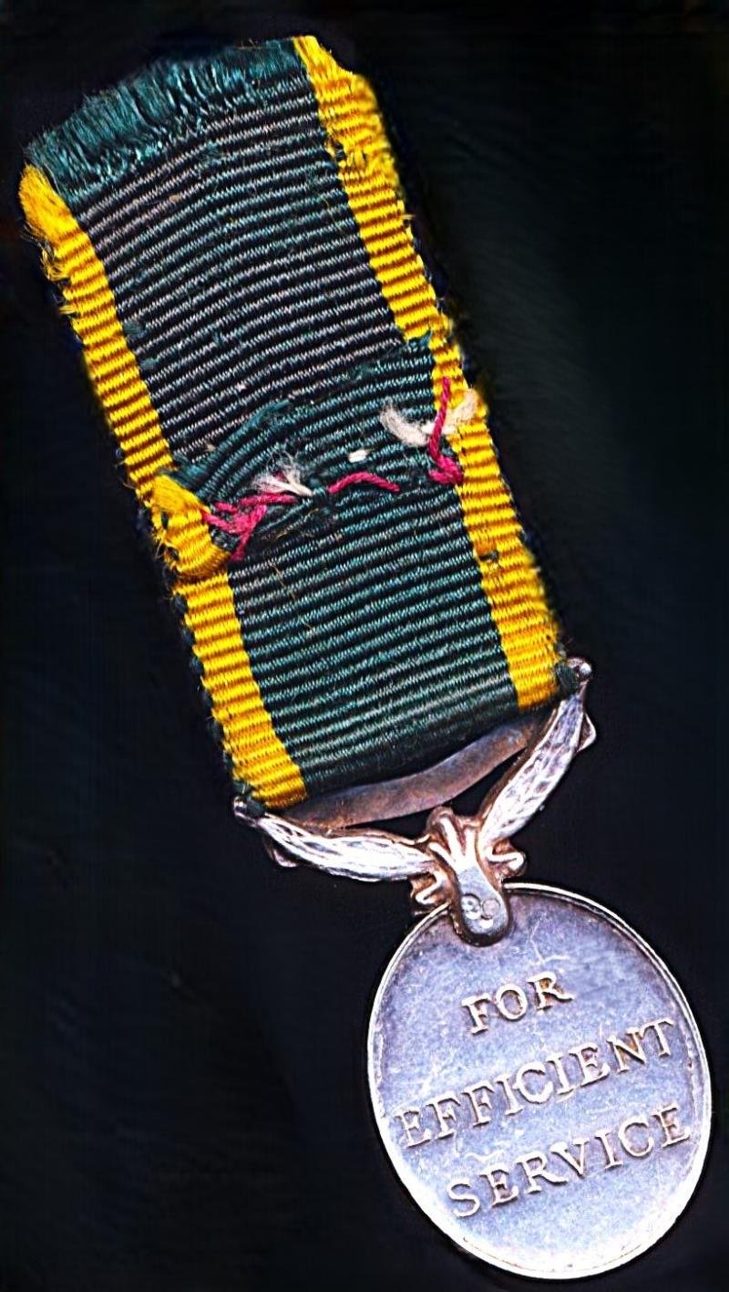 Southern Rhodesia: Efficiency Medal. GVI obverse 1st type (1937-1947). With 'Southern Rhodesia' bar. Miniature Medal — image 3