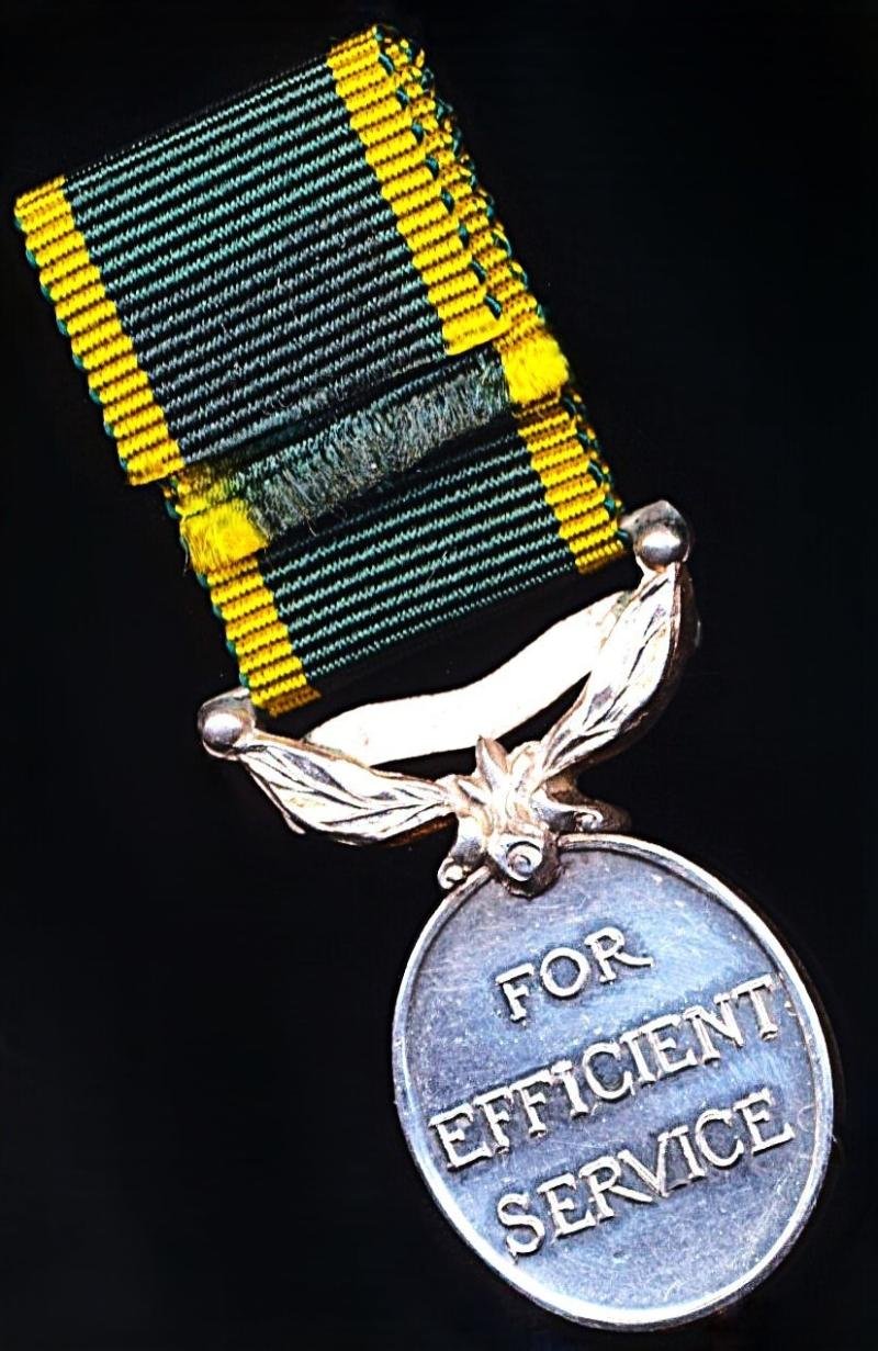 British India (inc Burma): Efficiency Medal. GV obverse (1930-1936). With 'India' bar. Miniature Medal — image 3