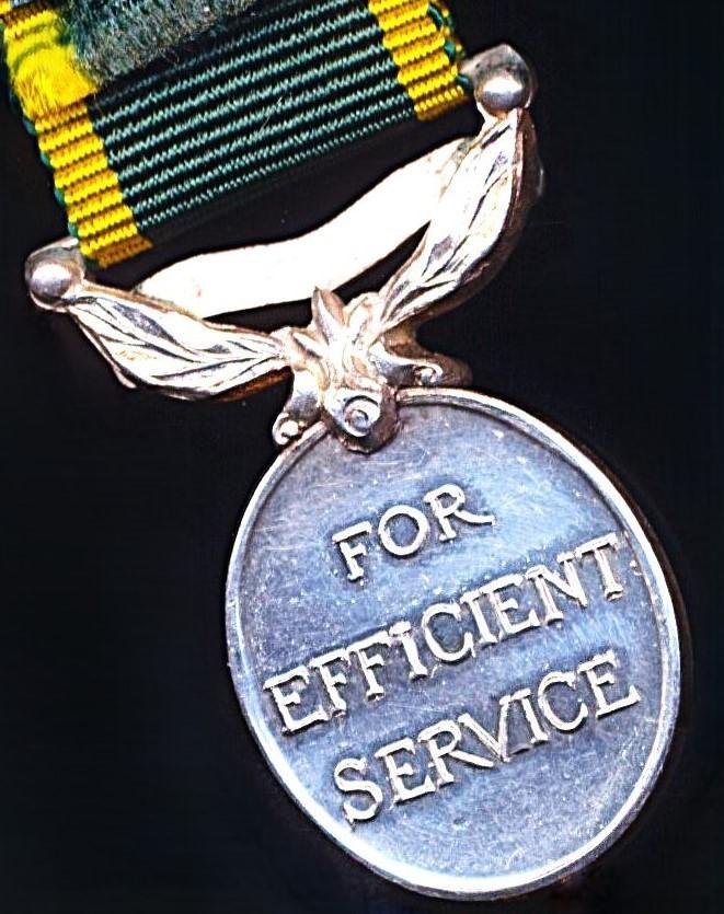 British India (inc Burma): Efficiency Medal. GV obverse (1930-1936). With 'India' bar. Miniature Medal — image 4