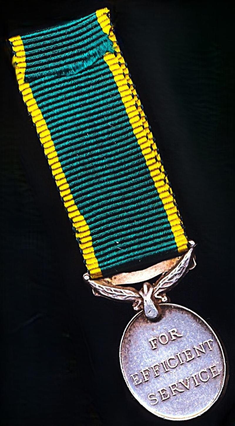 Ceylon Colony: Efficiency Medal. GVI obverse 1st type (1937-1947). With 'Ceylon' bar. Miniature Medal — image 3