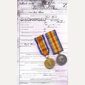 A Great War Western Front 'German Spring Offensive' Casualty medal …