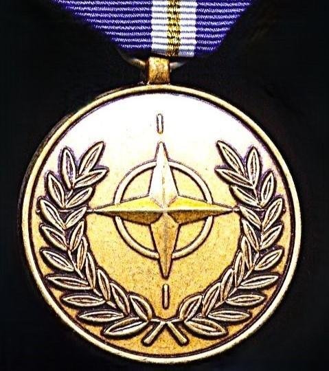 North Atlantic Treaty Organisation (NATO ): NATO Service Medal for 'Operation Eagle Assist' — image 2