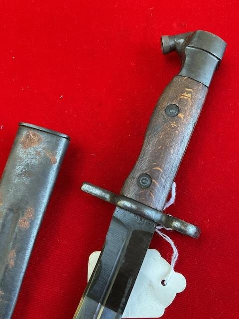 Egyptian Hakim — image 6