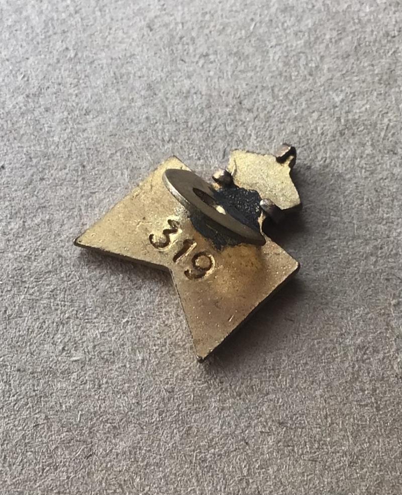 Gallipoli Legion of Anzacs Ex-Service Association badge — image 2