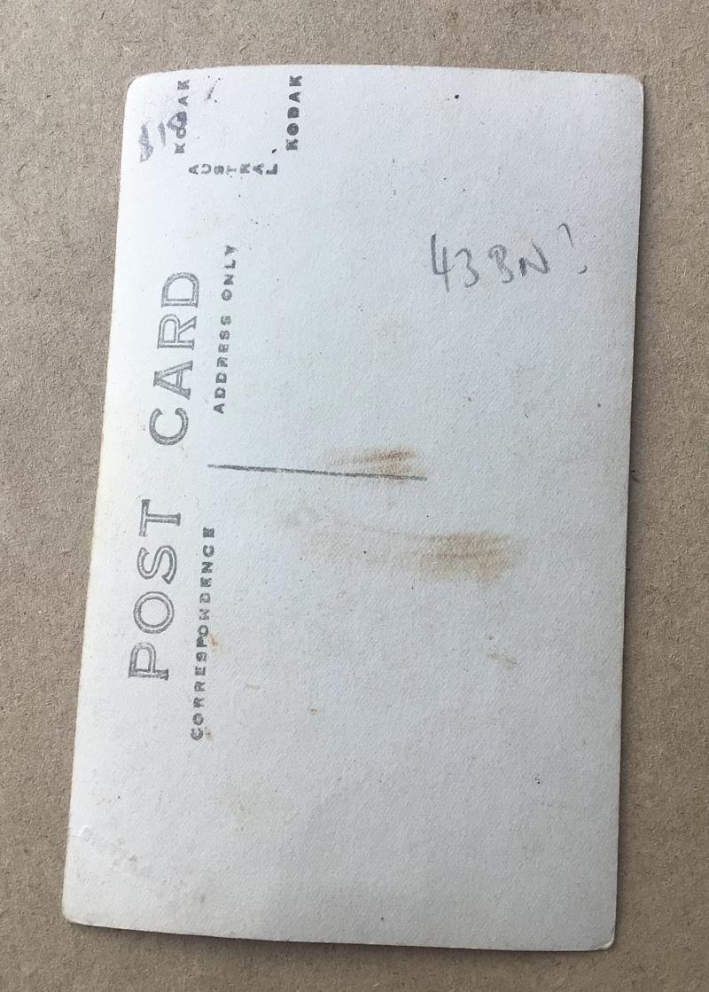 Australia WW1 Photo Postcard Officer 43rd Battalion — image 2