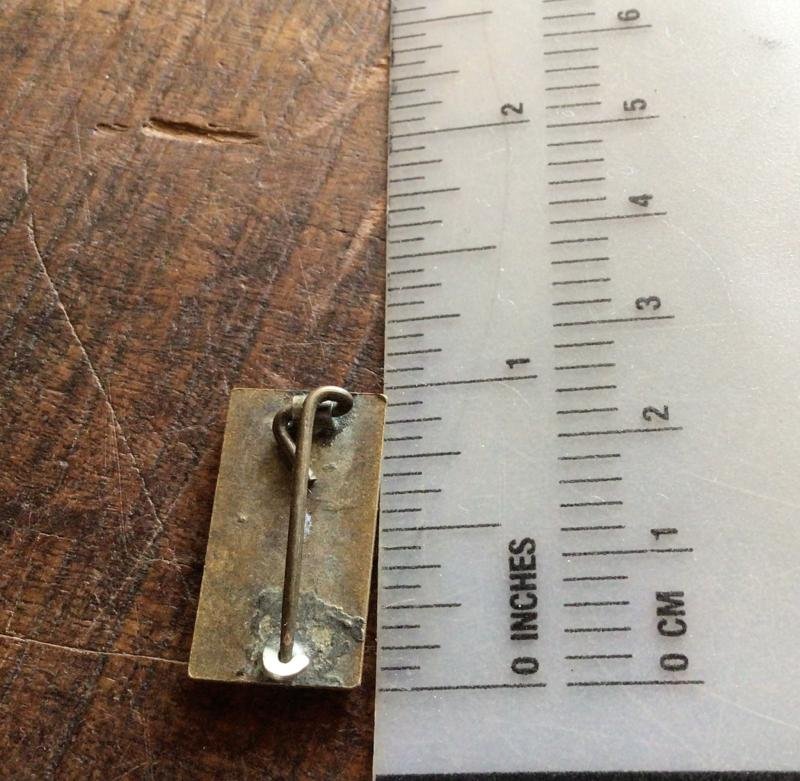 WW2 Colour Patch Lapel Badge AASC 6th Div — image 2