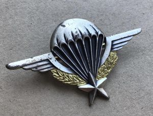 French Paratroop Wings
