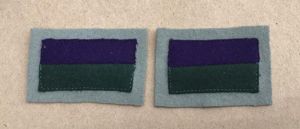 WW2 Colour Patches - 2/2nd Battalion