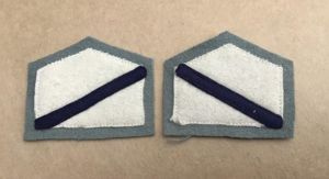 WW2 Colour Patches- AASC 1st Armoured Division