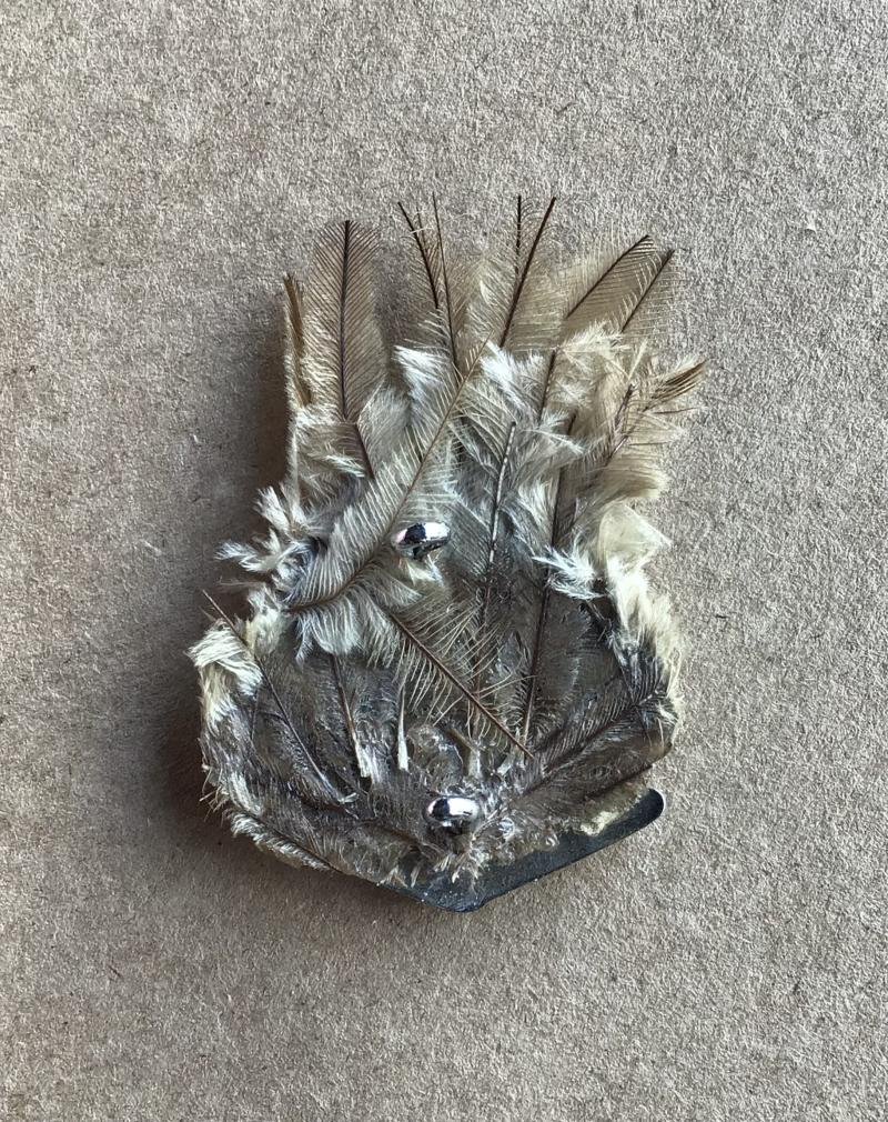 1953-60 10th Light Horse Regiment Hat Badge — image 2