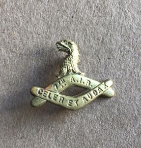 1900-1912 7th AIR Collar Badge