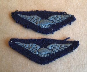 Australia WW2 RAAF Other Ranks Shoulder Eagles